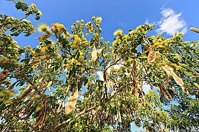 《夜族崛起》销量突破300万 今年推出大型免费扩展包