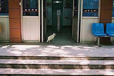 多人机甲射击游戏《战争机器人：前线》上线预告公布 将转为免费游戏